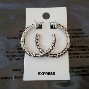 Multicolored Rhinestone Hoop Earrings